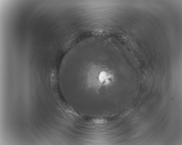 X0000068770659200605121703