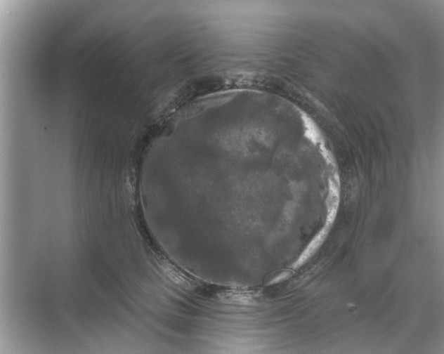 X0000068770661200605121703