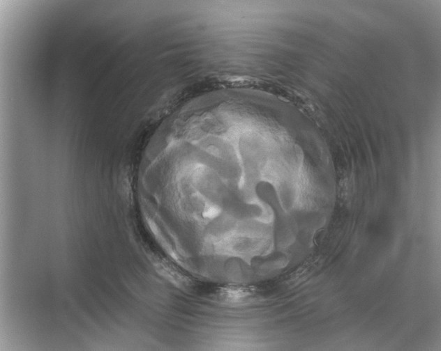 X0000068770662200605121703