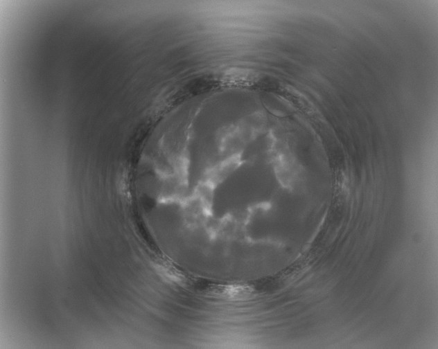 X0000068770663200605121703