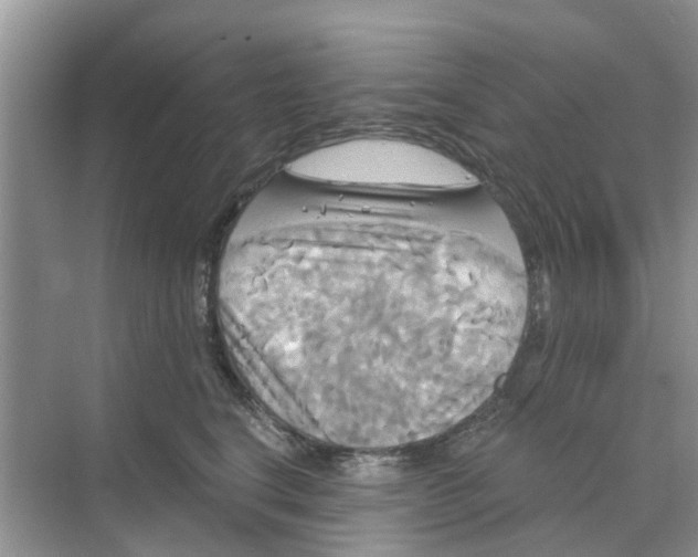 X0000068770664200605121703