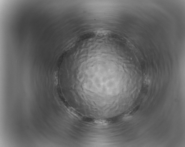 X0000068770666200605121703