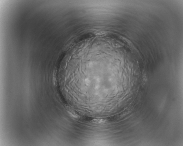 X0000068770667200605121703