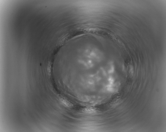 X0000068770668200605121703