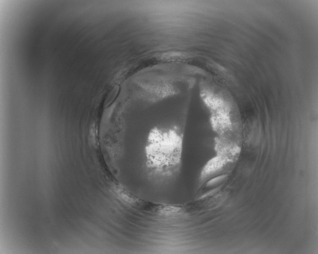 X0000068770669200605121703