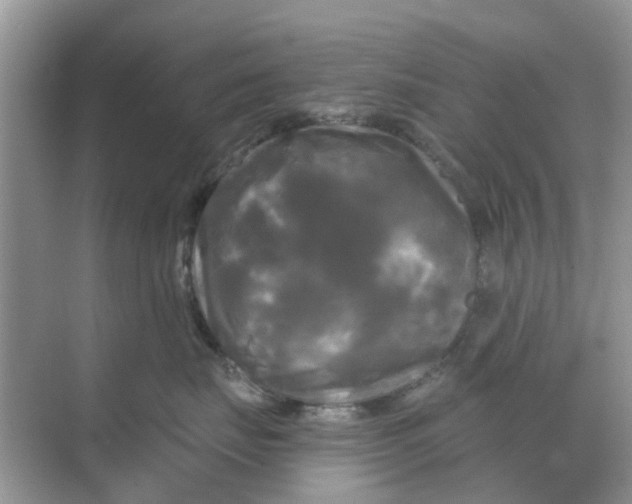 X0000068770671200605121703