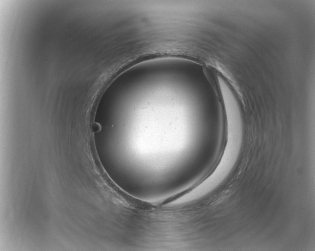 X0000068770673200605121702