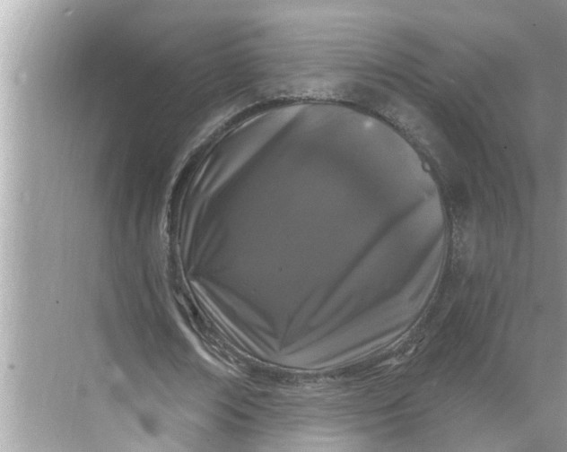 X0000068770674200605121702