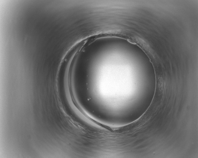 X0000068770676200605121702