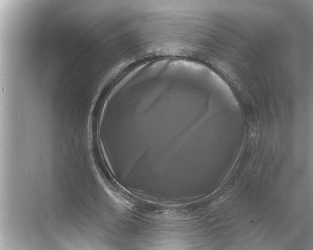 X0000068770678200605121702