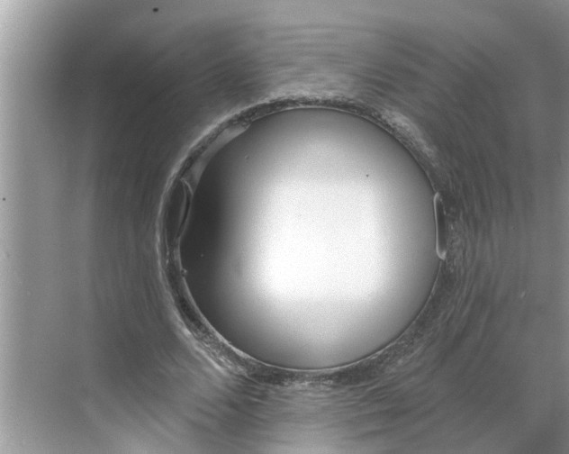 X0000068770680200605121702