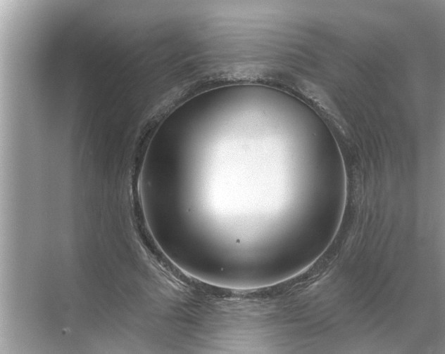 X0000068770681200605121702