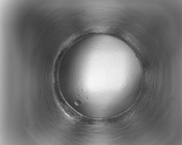 X0000068770682200605121702