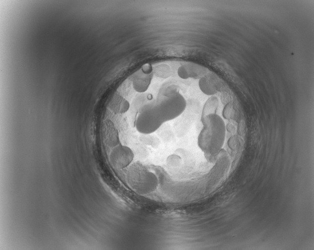 X0000068770683200605121702