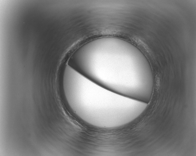 X0000068770684200605121702