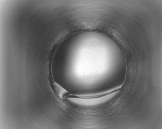 X0000068770685200605121702