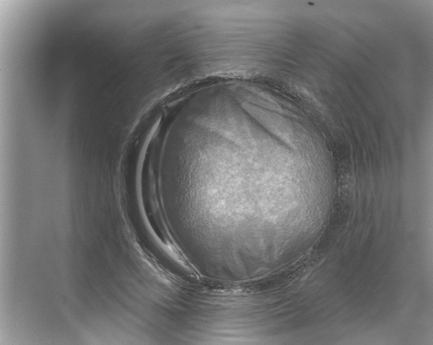 X0000068770688200605121702