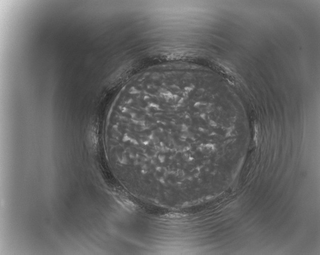 X0000068770691200605121702