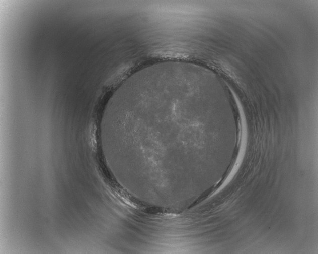 X0000068770692200605121702