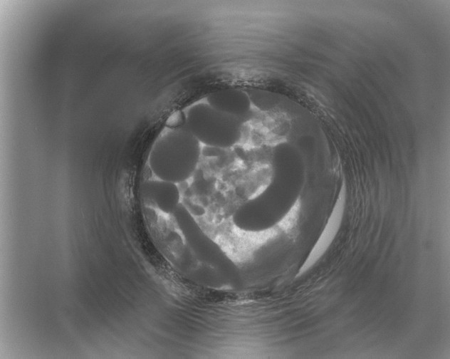 X0000068770695200605121702