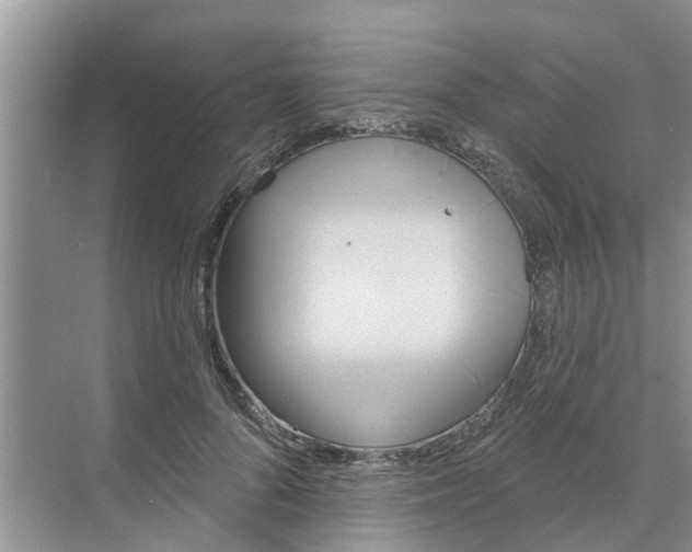 X0000068770696200605121702