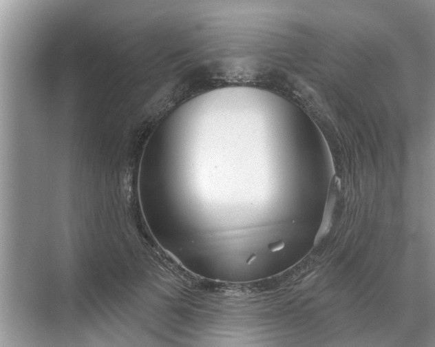 X0000068770697200605121702