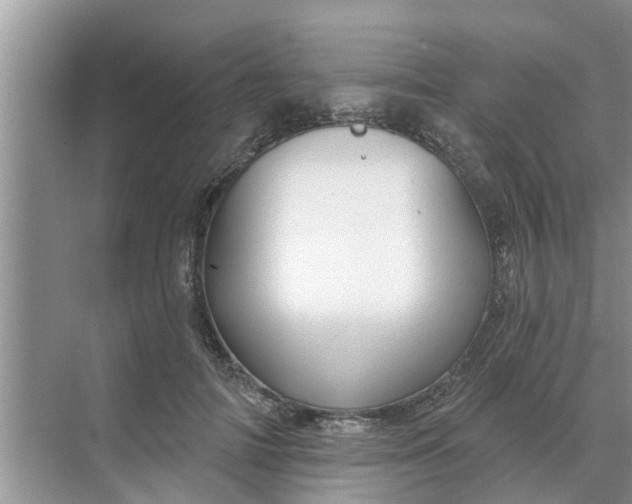 X0000068770698200605121702