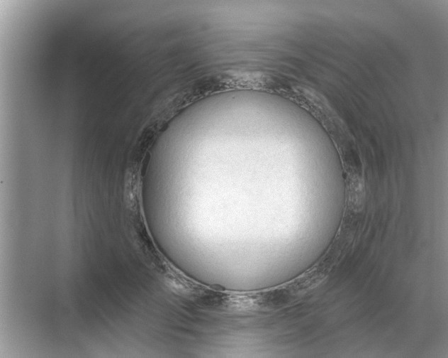 X0000068770701200605121702