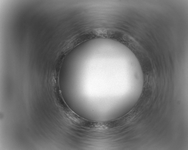 X0000068770702200605121702