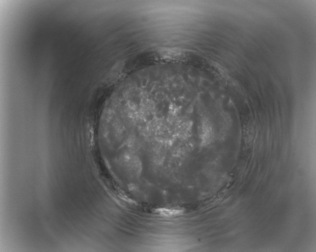 X0000068770703200605121702