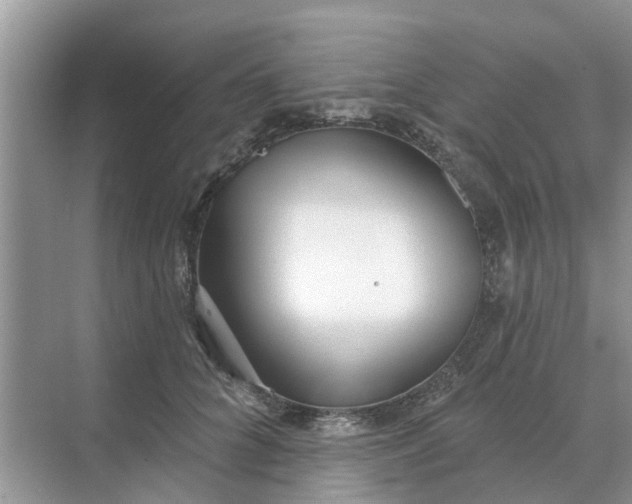 X0000068770704200605121702