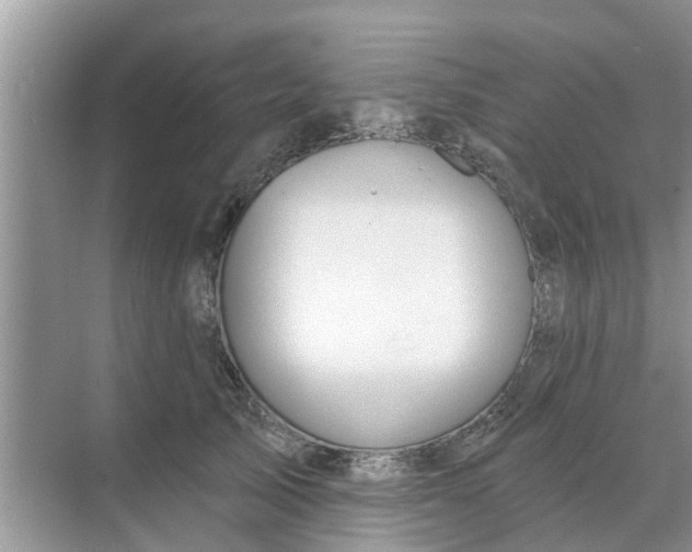 X0000068770705200605121702