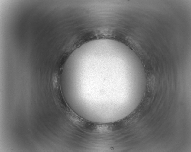 X0000068770709200605121702