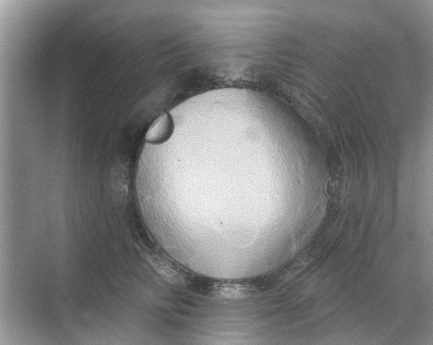 X0000068770710200605121702