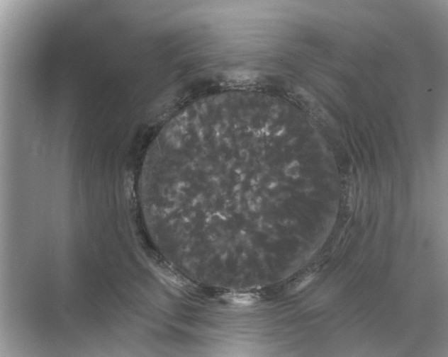 X0000068770711200605121702