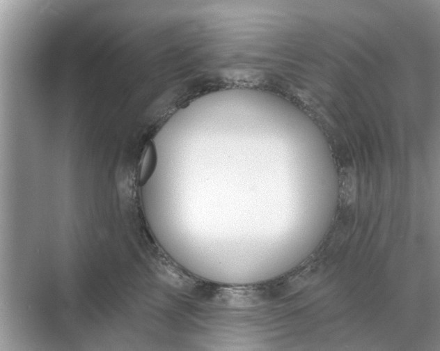 X0000068770713200605121702