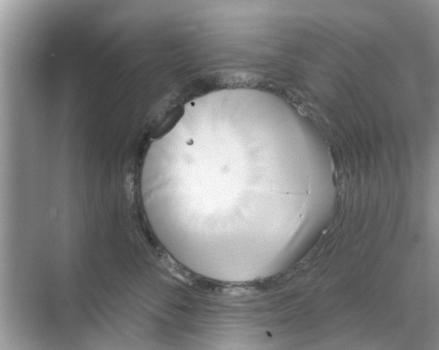 X0000068770716200605121701