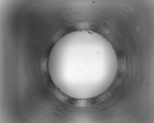 X0000068770717200605121701