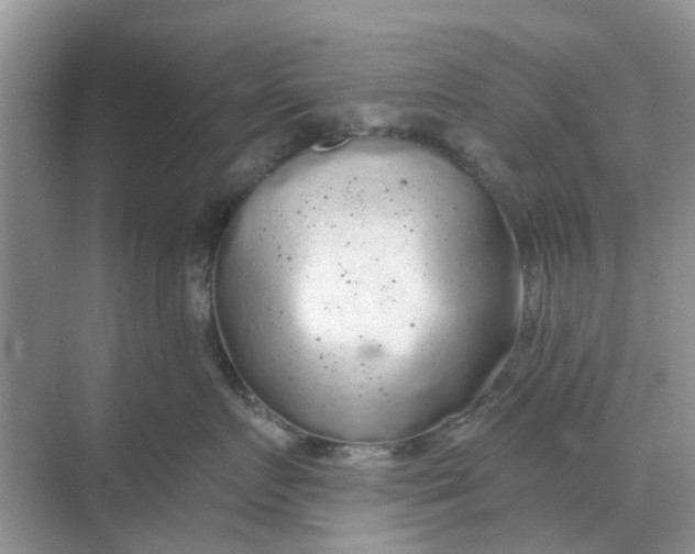 X0000068770719200605121701