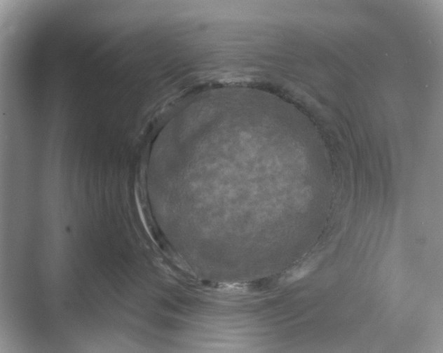 X0000068770720200605121701