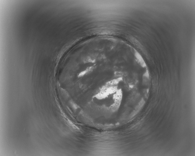 X0000068770721200605121701