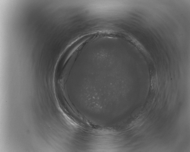 X0000068770722200605121701