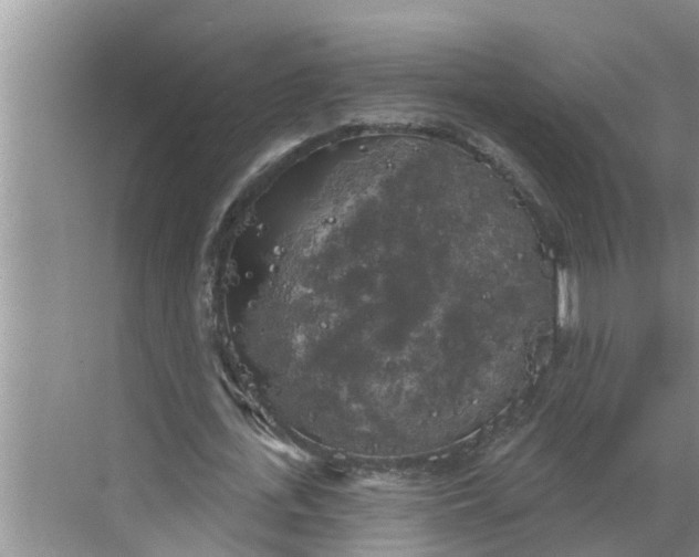 X0000068770723200605121701