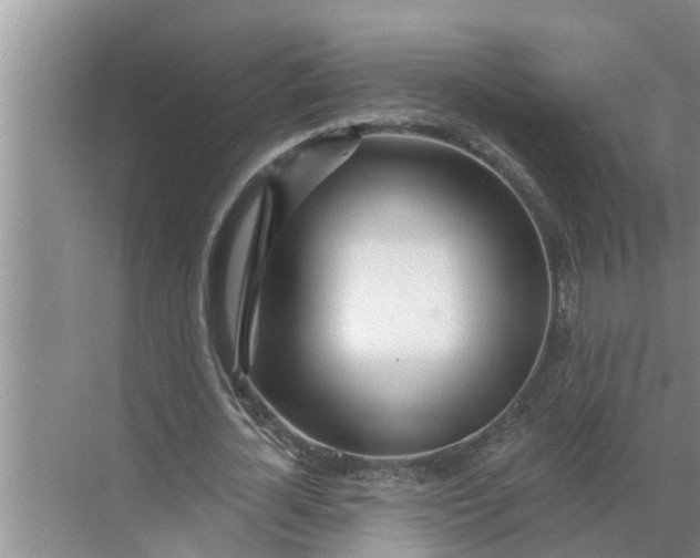 X0000068770724200605121701