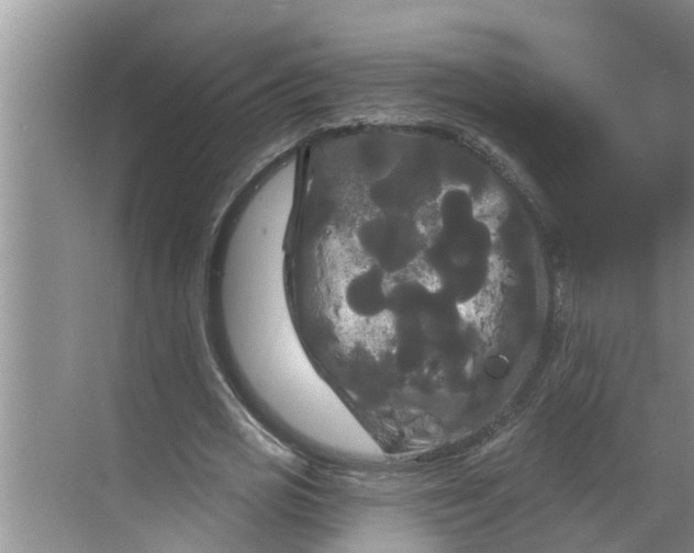 X0000068770725200605121701