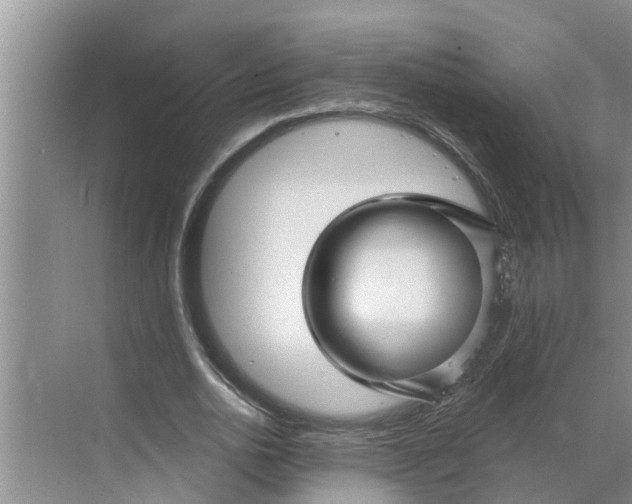 X0000068770726200605121701