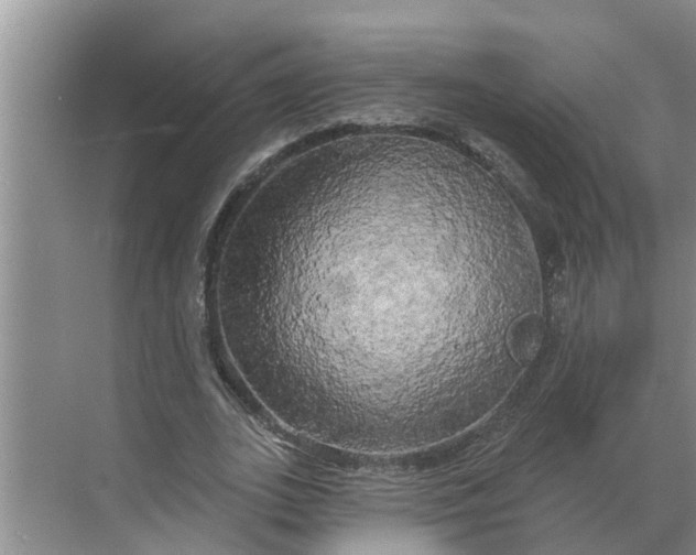 X0000068770727200605121701