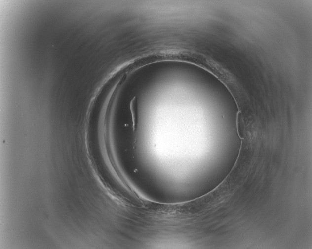 X0000068770728200605121701