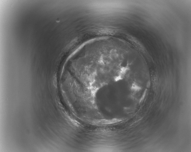 X0000068770729200605121701