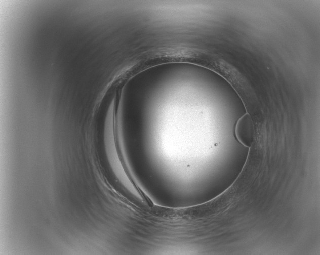 X0000068770731200605121701